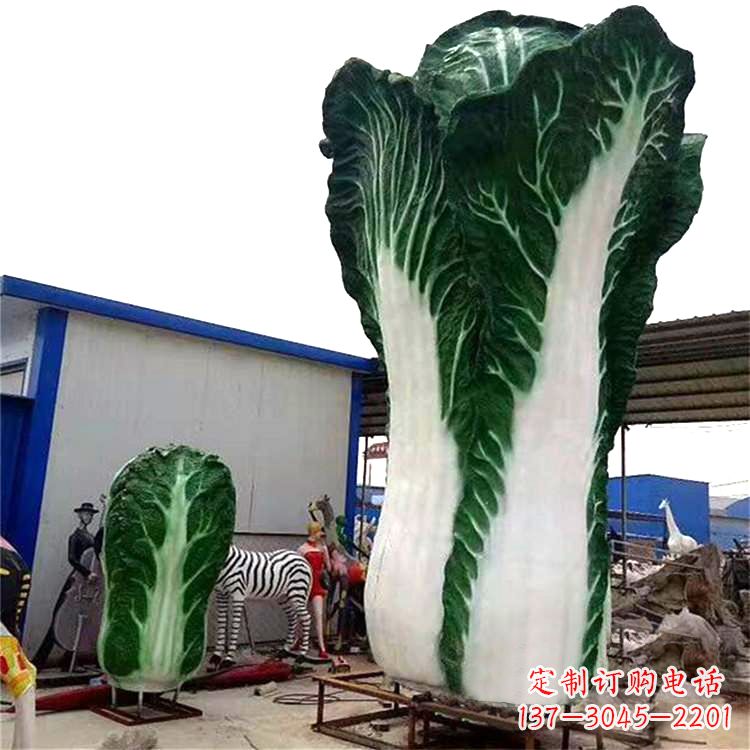 金华白菜艺术——融合植物与艺术的完美结合