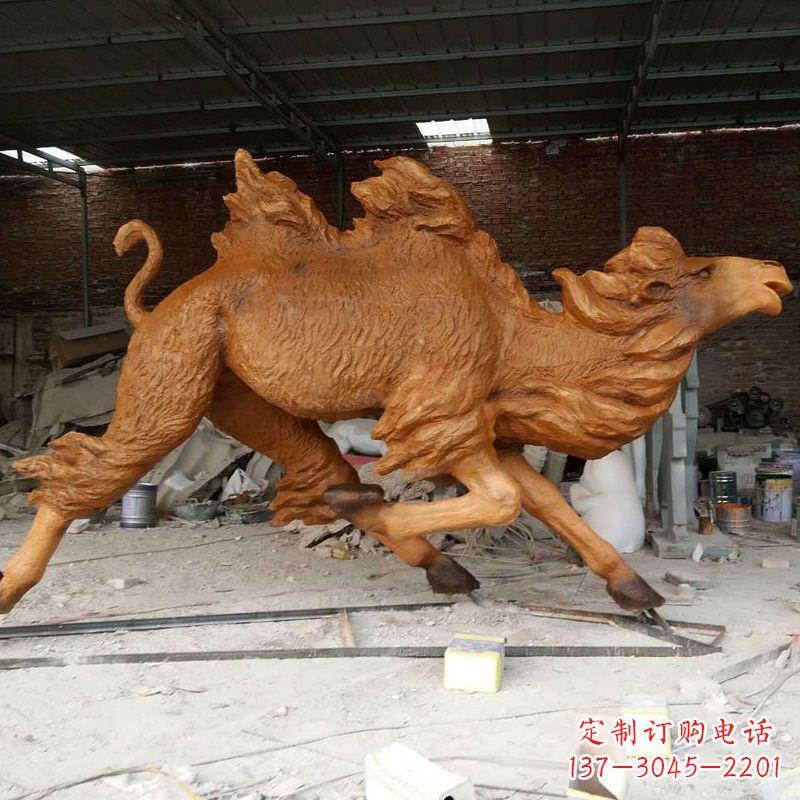 金华活力四射的骆驼