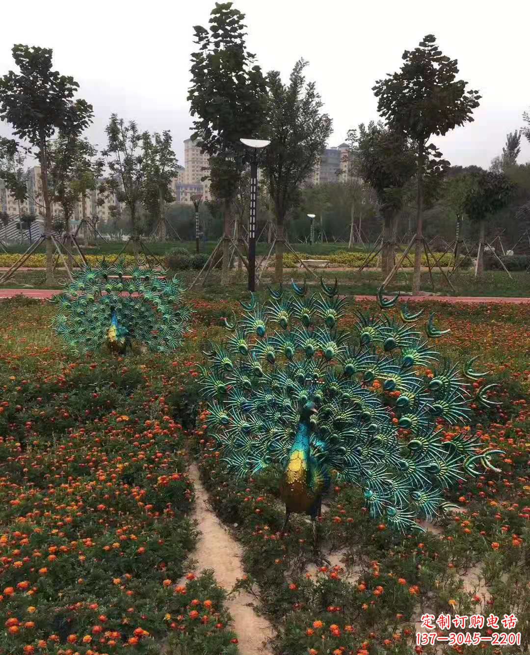 金华不锈钢彩绘孔雀雕塑