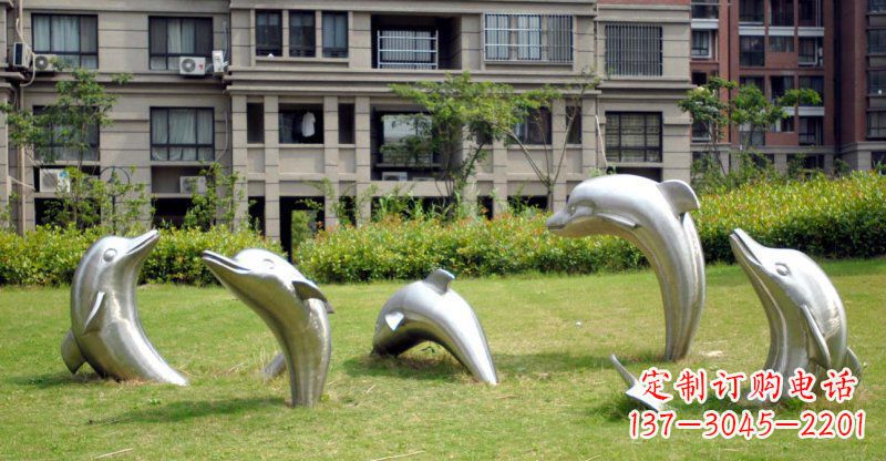 金华海豚的浪漫