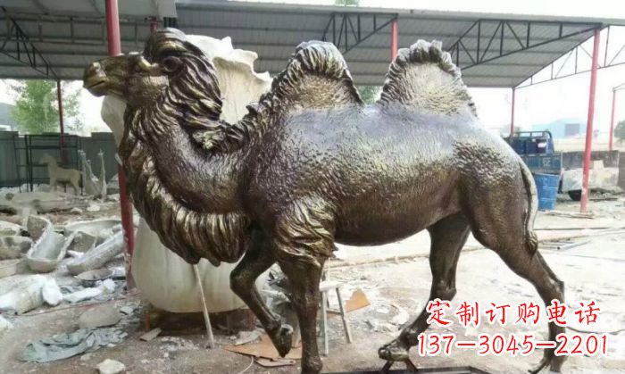 金华动物骆驼铜雕