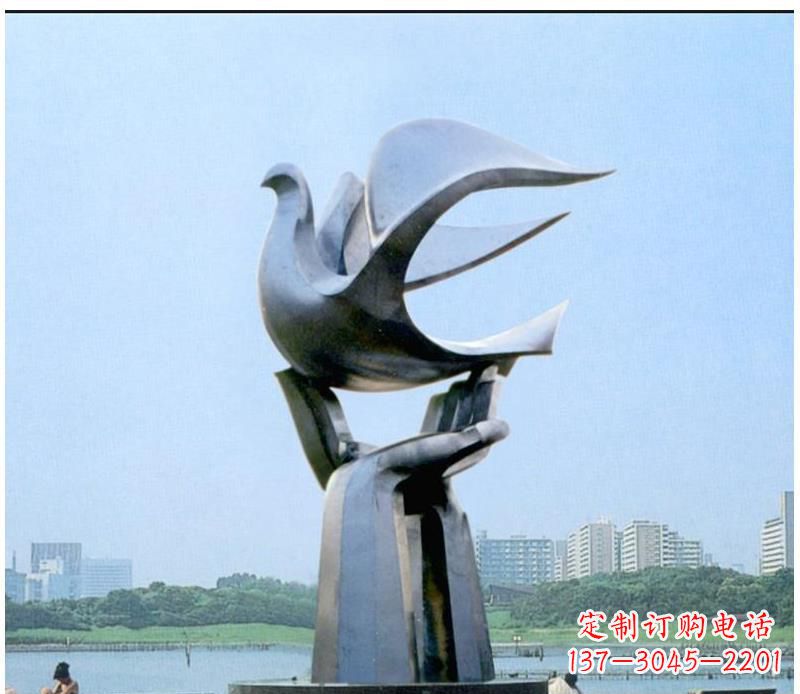 金华静谧之鸽，传递和平象征~