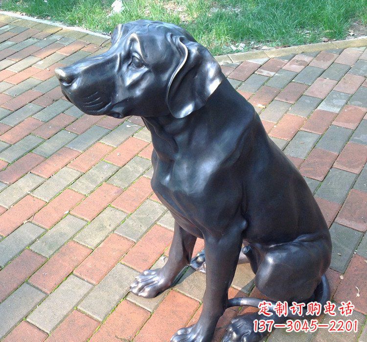 金华公园动物铜雕狗