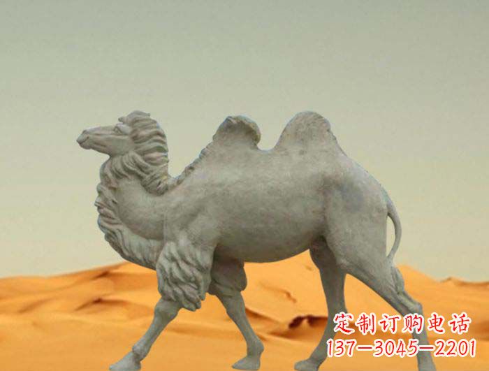 金华欣赏大自然的优美，惊叹于实用的骆驼雕塑
