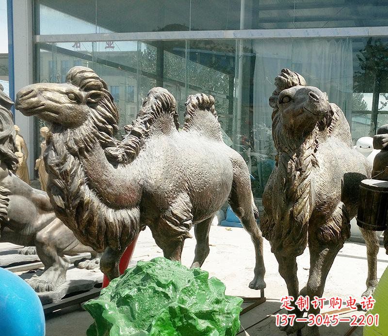金华公园骆驼动物铜雕 (2)