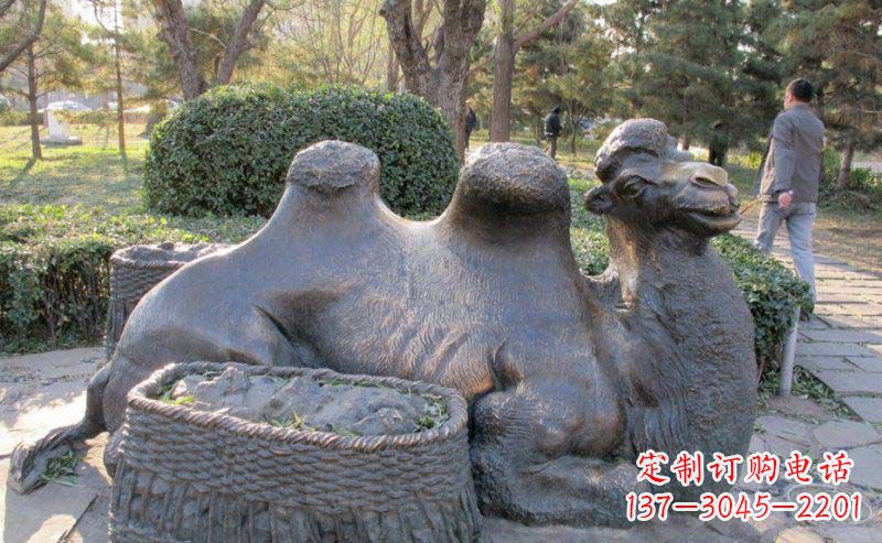 金华公园骆驼动物铜雕