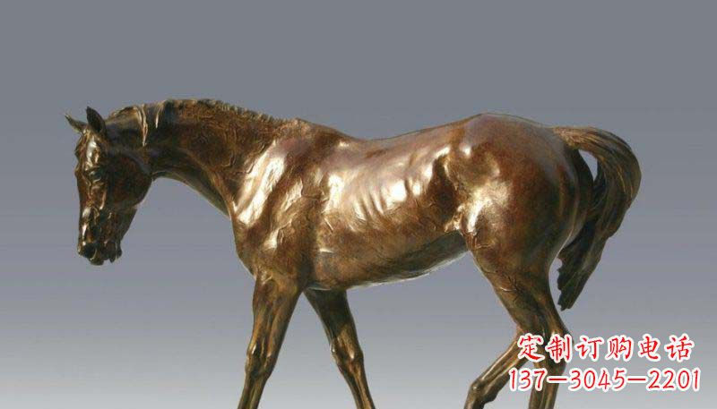 金华公园马动物铜雕 (2)