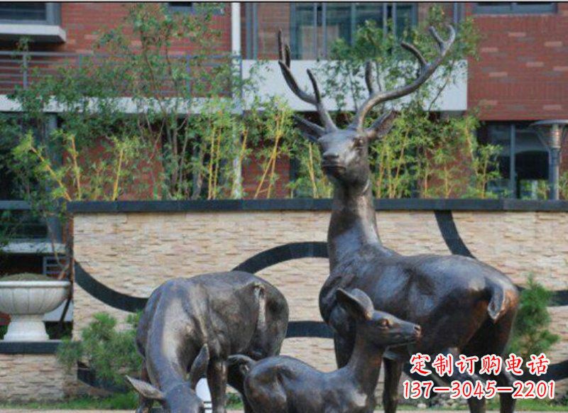 金华公园梅花鹿动物铜雕