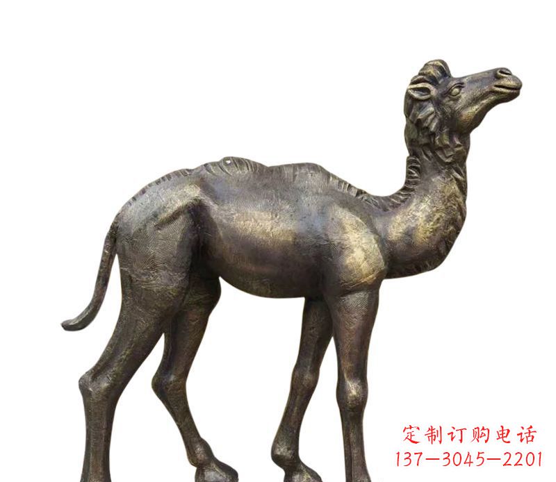 金华奇美洁净的骆驼铜雕