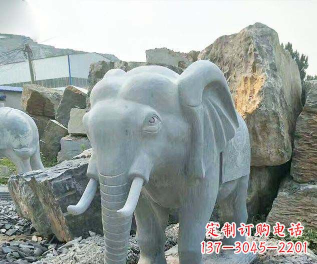 金华广场景观大理石大象石雕 (2)