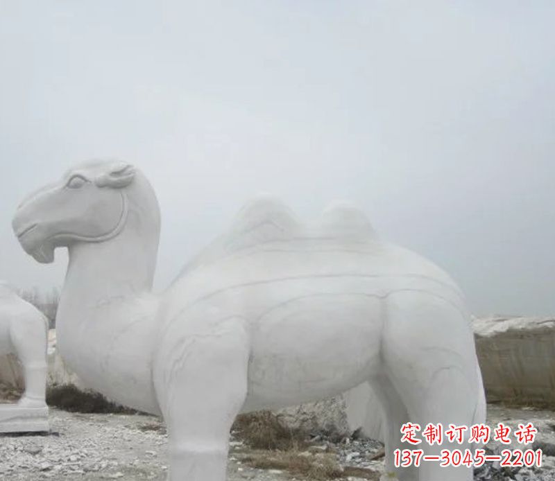 金华汉白玉骆驼石雕塑,装点家居空间