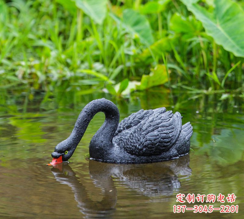 金华黑天鹅喝水款-池塘水塘装饰动物雕塑摆件