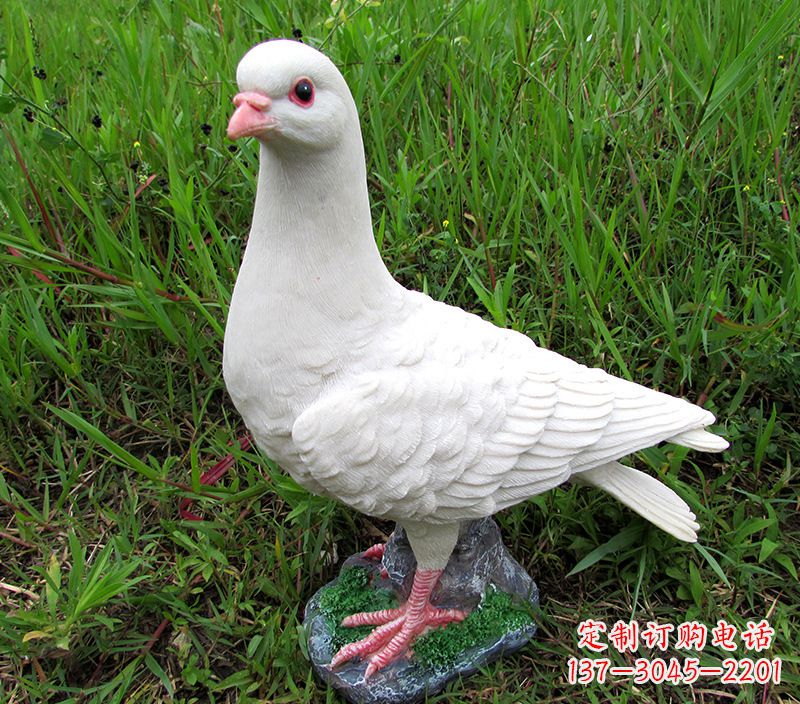 金华角斗士广场鸽子雕塑,象征勇气和坚毅