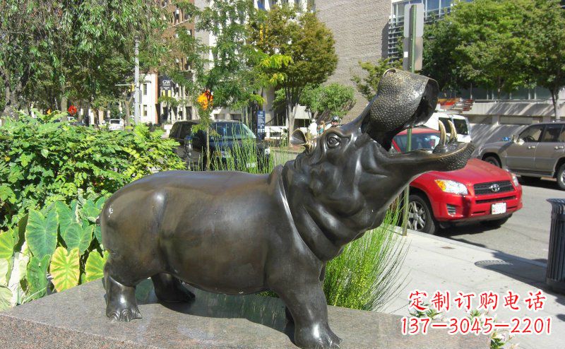 金华精美细腻的街边河马铜雕