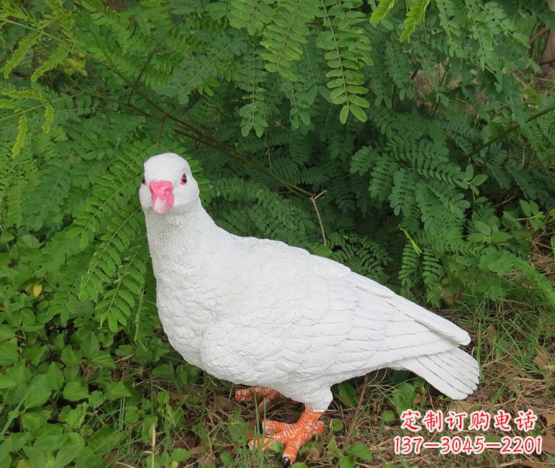 金华灵鸽雕塑鸽子呢