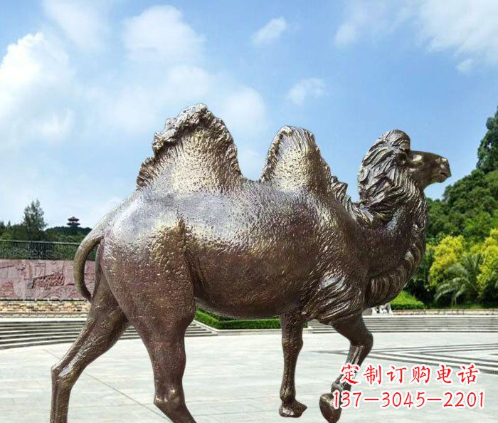 金华欣赏骆驼美感,购买骆驼铜雕