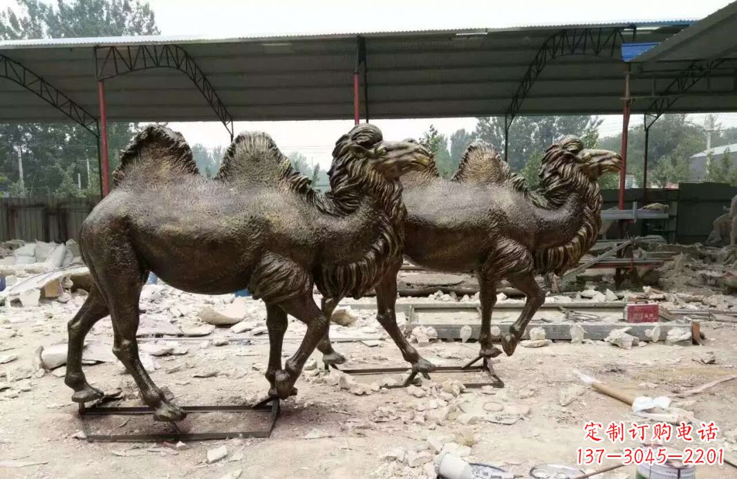 金华欣赏大自然的艺术之作——骆驼铜雕