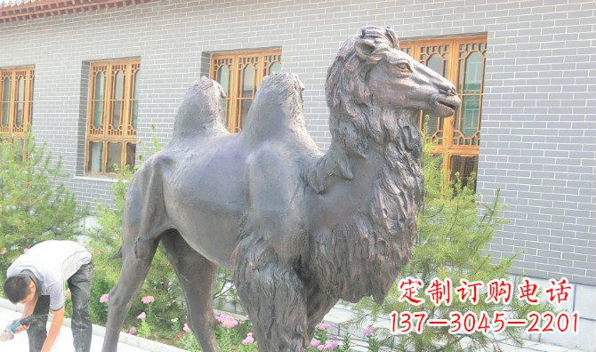 金华精美的骆驼铜雕,提升您的公园气质