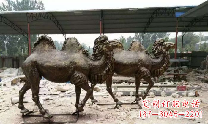 金华典雅优美的骆驼铜雕