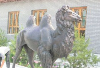 金华精美的骆驼铜雕，提升您的公园气质