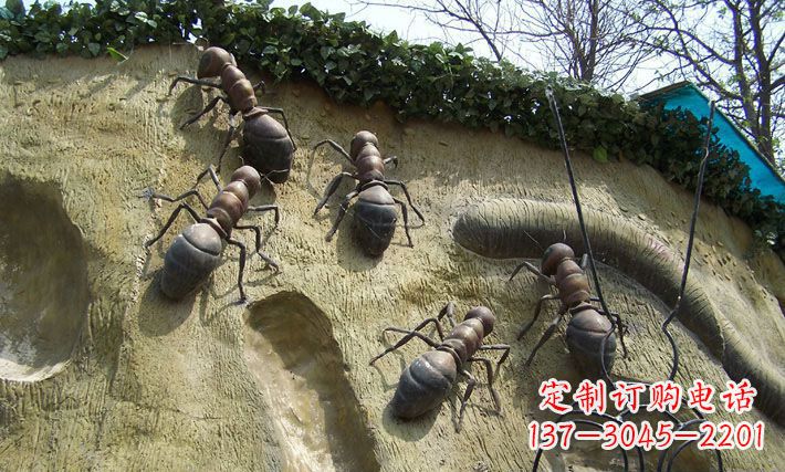 金华答案(不计入500字)