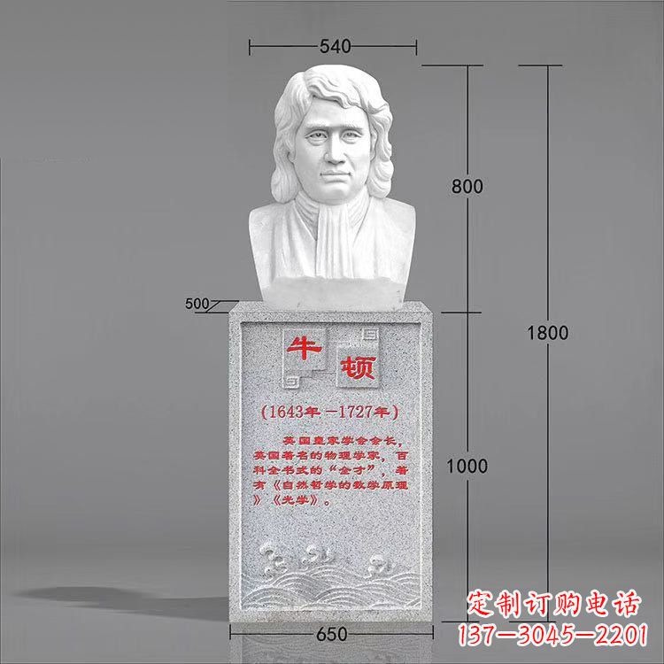 金华全才科学家牛顿汉白玉石雕头像