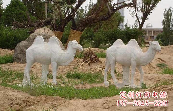 金华欣赏大自然,石雕骆驼公园动物雕塑邀请您