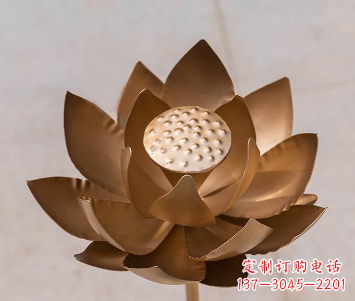 金华铜雕景观荷花