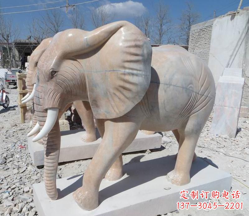 金华晚霞红卷鼻大象