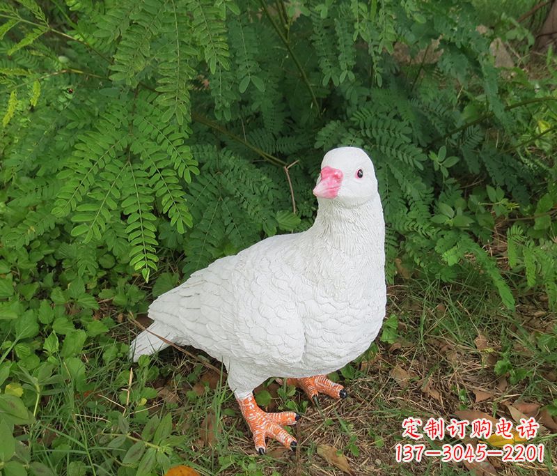 金华潍坊青年路和平鸽灰姑娘雕塑