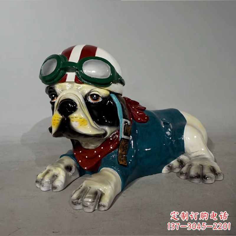 金华宇航员斗牛犬