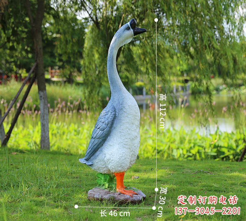 金华站立立脖灰色天鹅